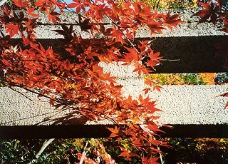 赤山禅院